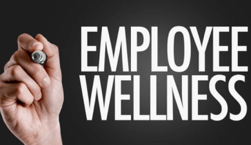 Organizational Health